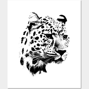 Cheetah Posters and Art